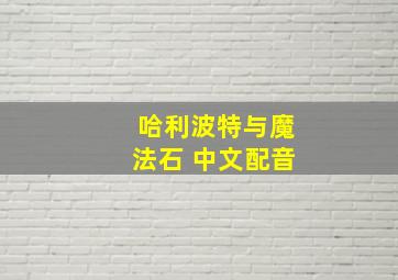 哈利波特与魔法石 中文配音